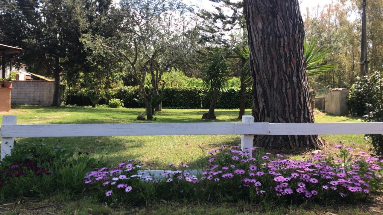 Casal Baratz Apartman Santa Maria la Palma Kültér fotó