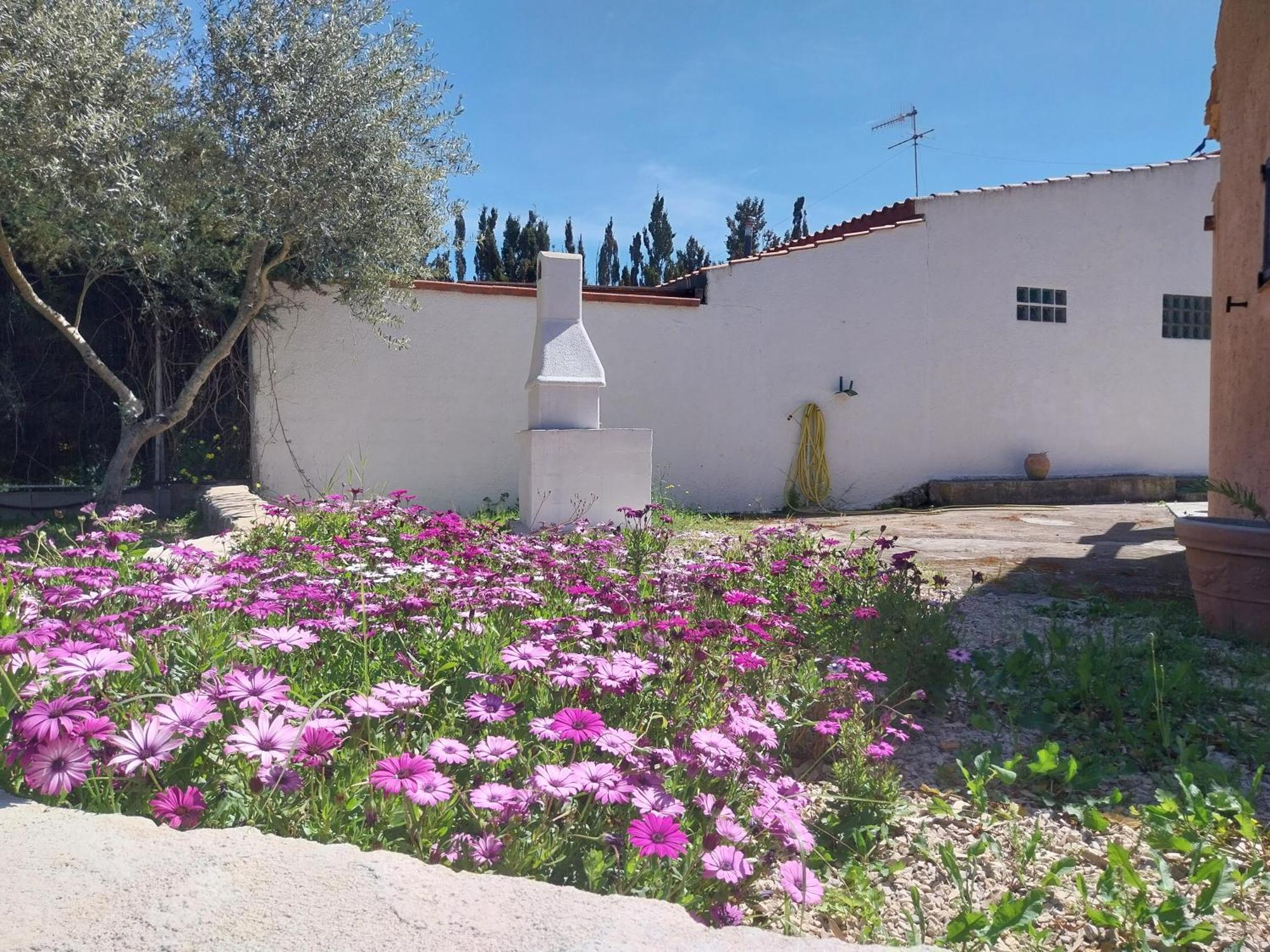 Casal Baratz Apartman Santa Maria la Palma Kültér fotó